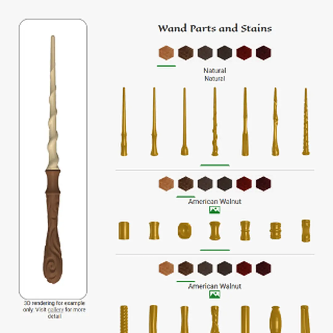 Featured Activities